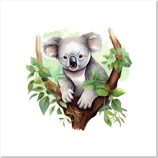 Koala In Australia Posters and Art